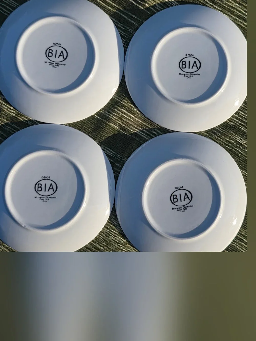 BIA Cordon Bleu Camembert Cheese Plates 5